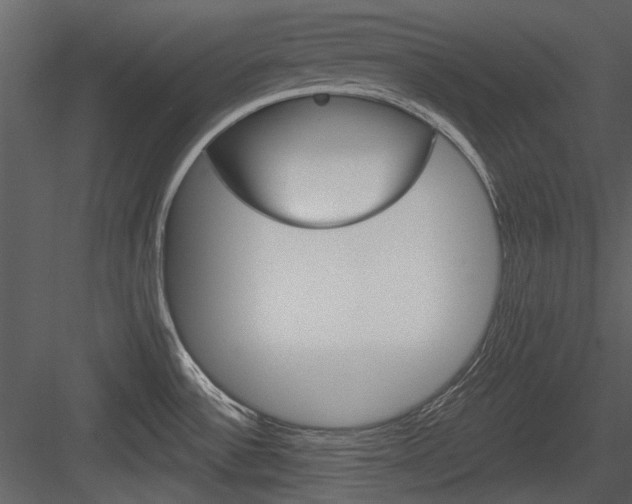 X0000084541532200702230855