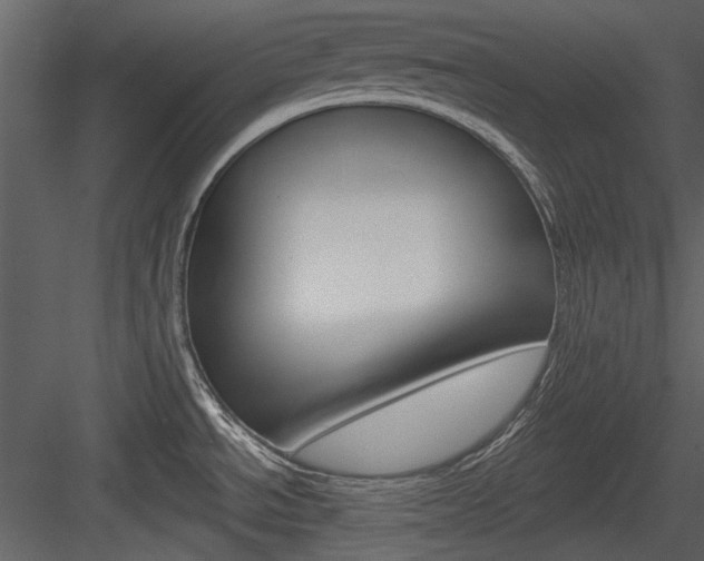 X0000084541534200702230855