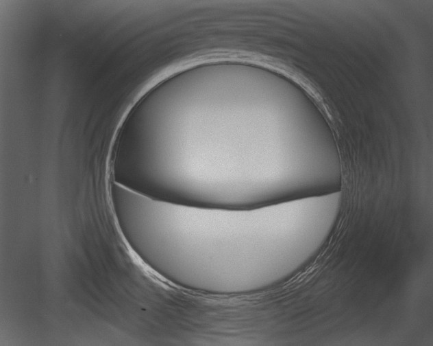 X0000084541535200702230855
