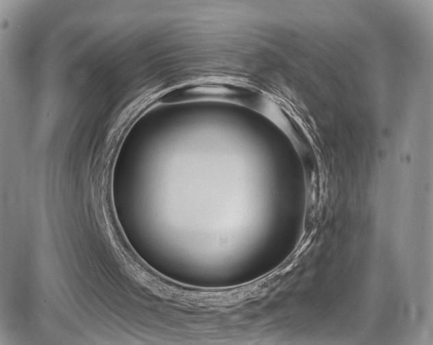 X0000084540001200702231239