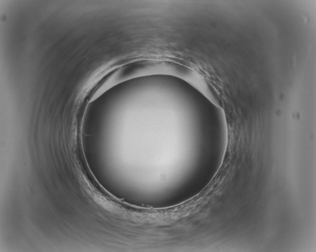 X0000084540005200702231239