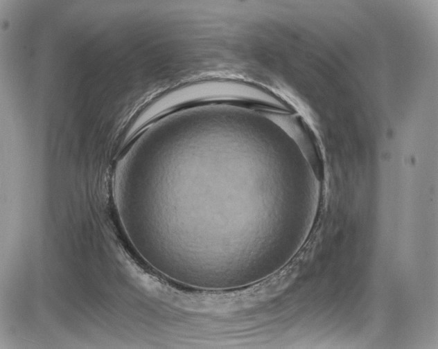 X0000084540009200702231239