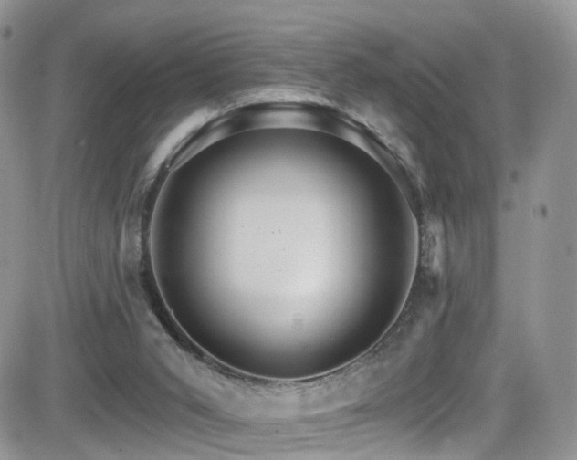 X0000084540015200702231239