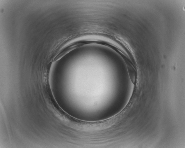 X0000084540017200702231239