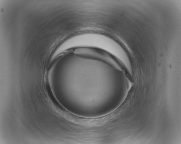 X0000084540023200702231239