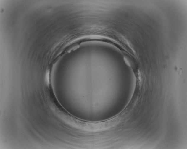 X0000084540027200702231239