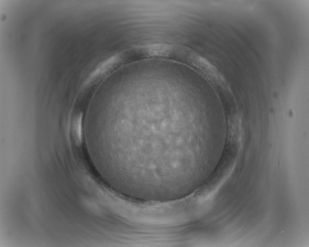 X0000084540028200702231239