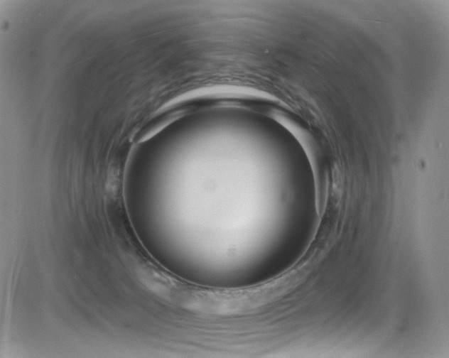 X0000084540033200702231239