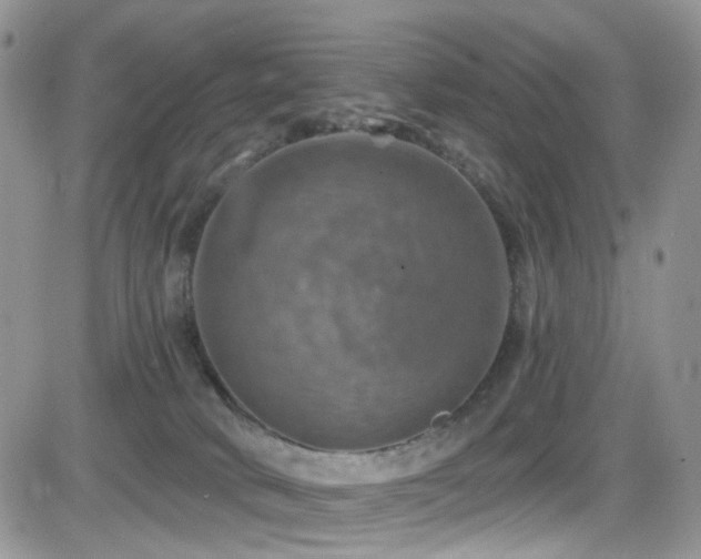 X0000084540034200702231239