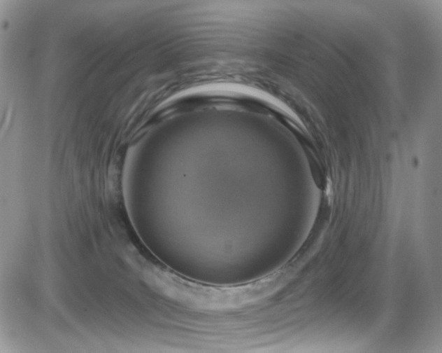 X0000084540035200702231239