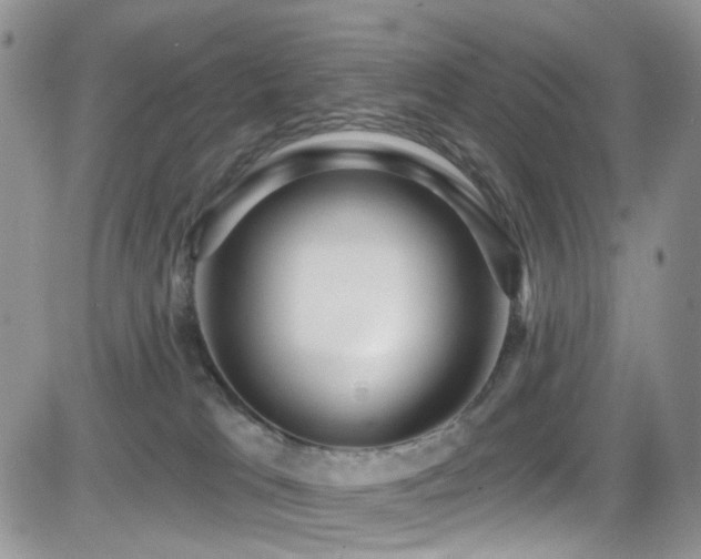 X0000084540037200702231238