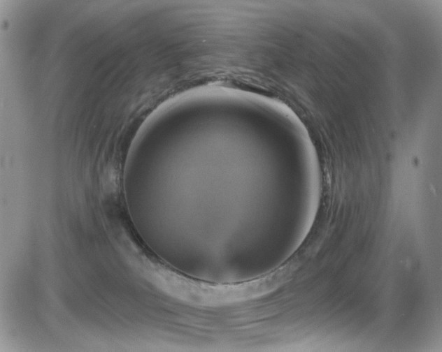 X0000084540039200702231238