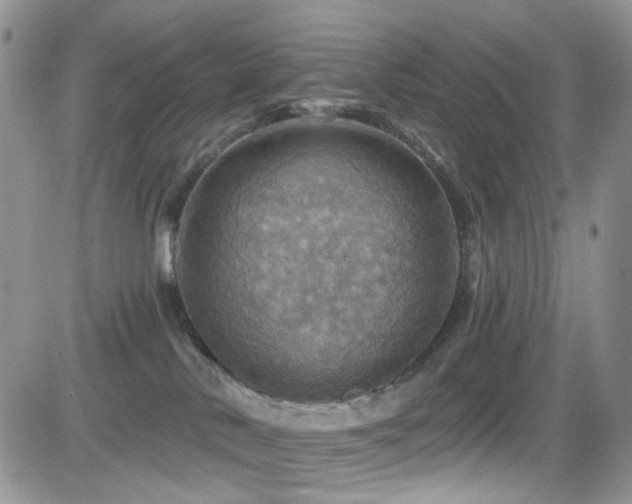 X0000084540042200702231238