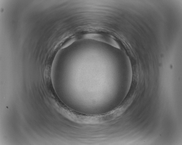 X0000084540044200702231238