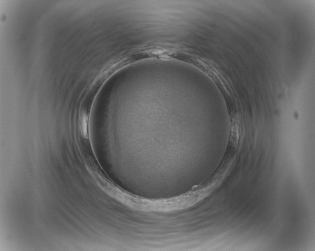X0000084540046200702231238