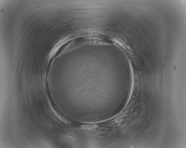 X0000084540051200702231238
