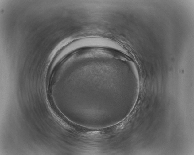 X0000084540054200702231238