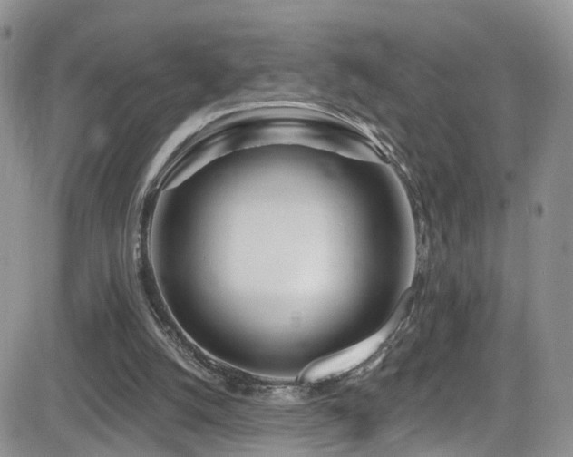 X0000084540056200702231238