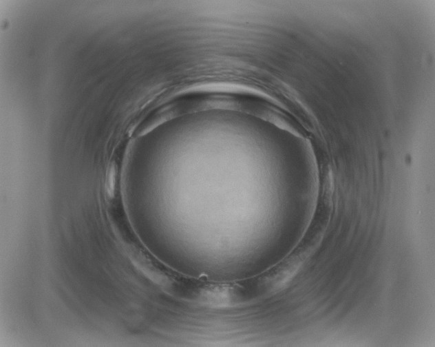 X0000084540076200702231238