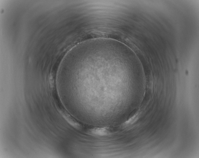 X0000084540086200702231238