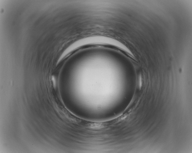 X0000084540088200702231238