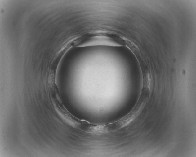X0000084540092200702231238