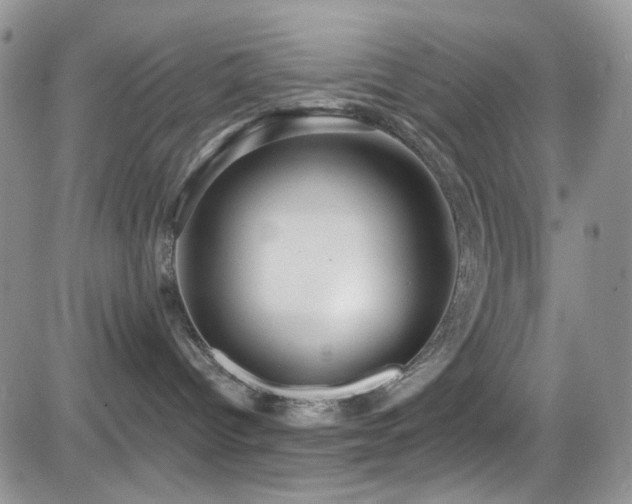 X0000084540096200702231238