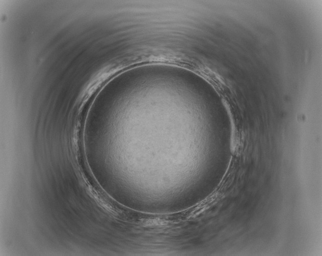 X0000084540098200702231237