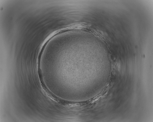 X0000084540100200702231237