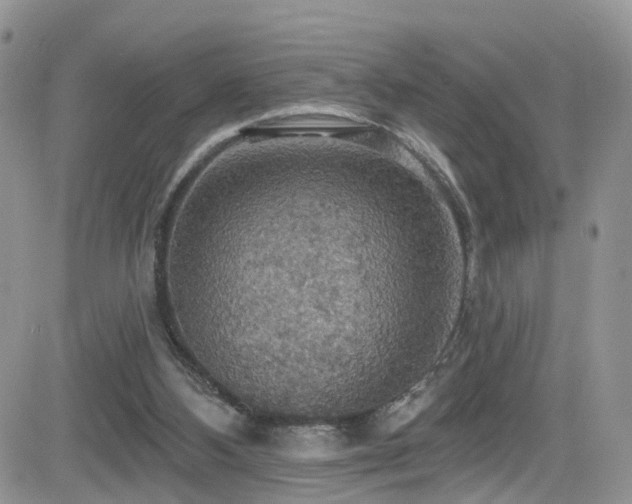 X0000084540108200702231237