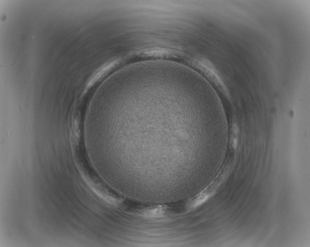 X0000084540116200702231237