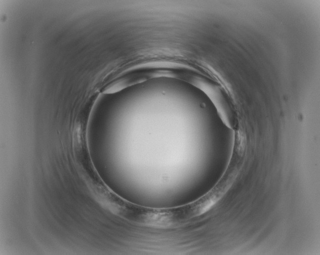 X0000084540117200702231237