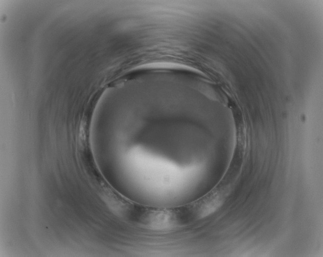 X0000084540127200702231237