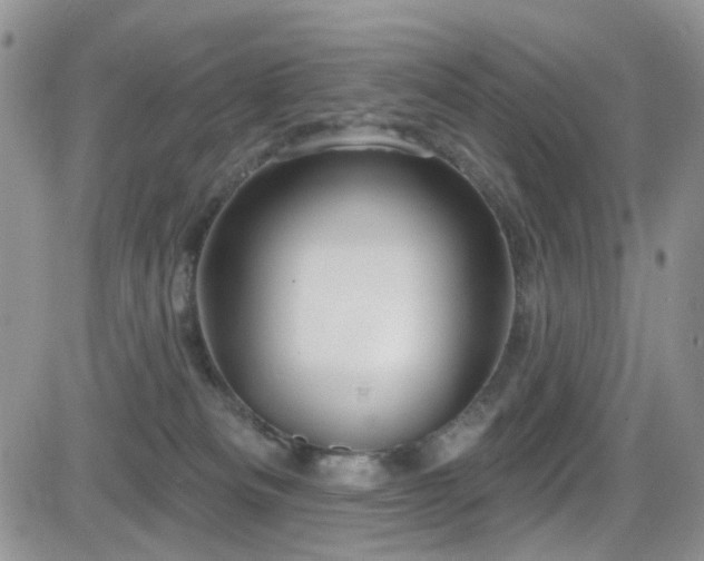 X0000084540133200702231237