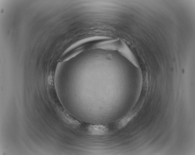 X0000084540137200702231237