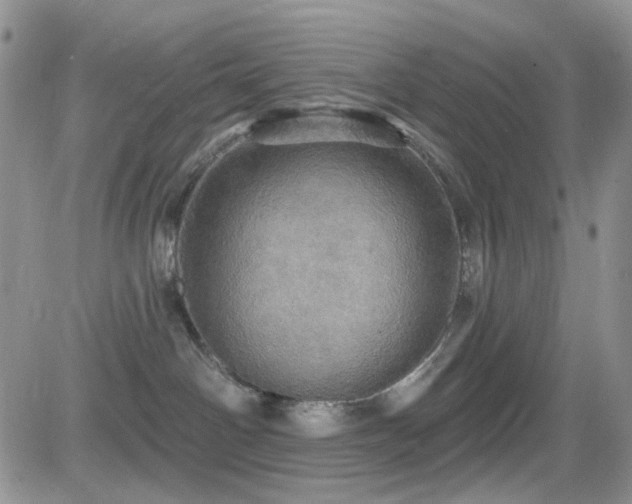 X0000084540142200702231237