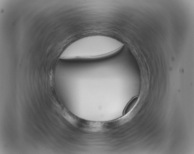 X0000084540144200702231237