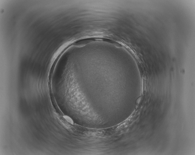 X0000084540147200702231236