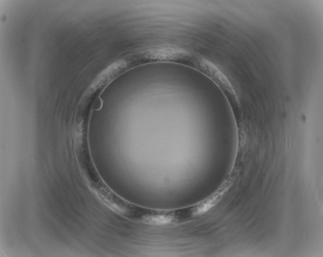 X0000084540163200702231236