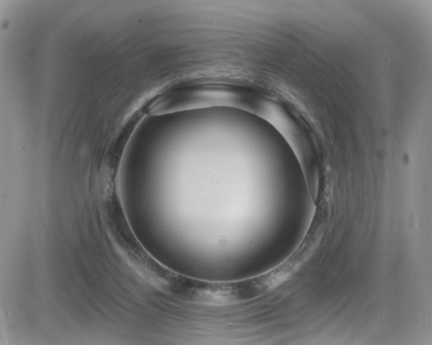 X0000084540164200702231236