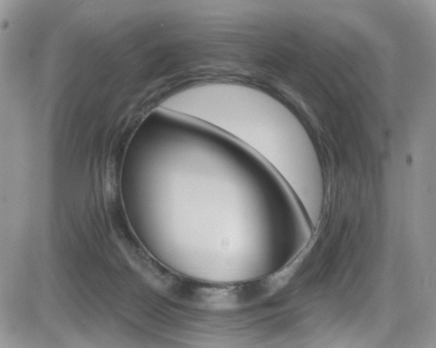 X0000084540170200702231236