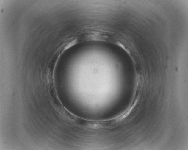 X0000084540174200702231236