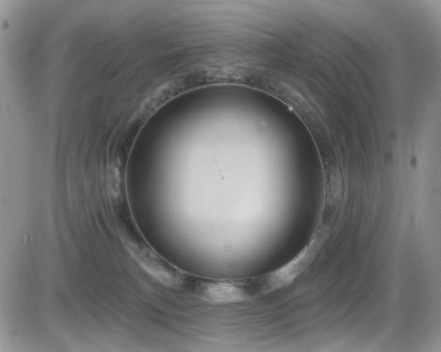 X0000084540183200702231237