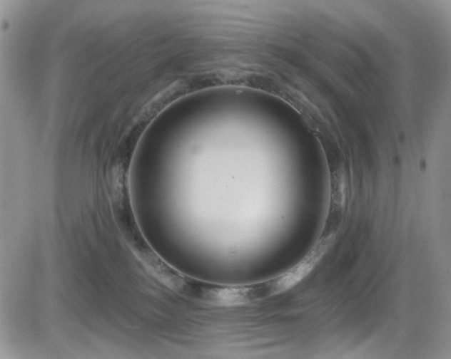 X0000084540184200702231237