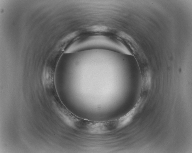 X0000084540186200702231237