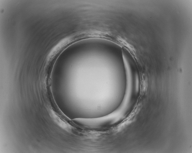X0000084540197200702231236