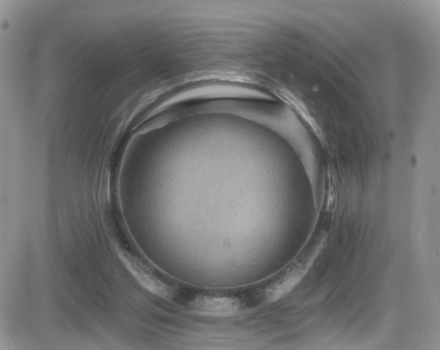 X0000084540205200702231236