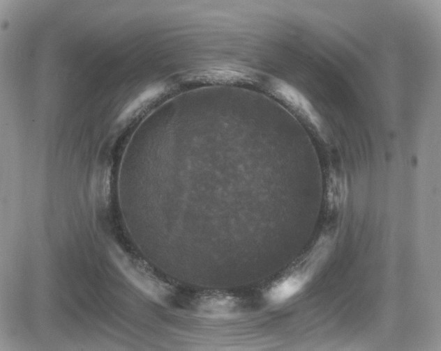 X0000084540206200702231236