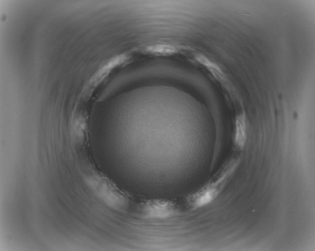 X0000084540235200702231235