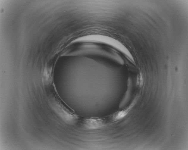 X0000084540239200702231235
